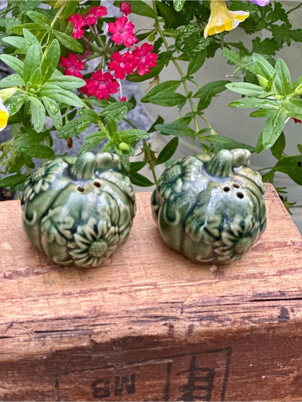 Green Pumpkin Salt and Pepper Shakers Ceramic Fall Harvest Thanksgiving Decor